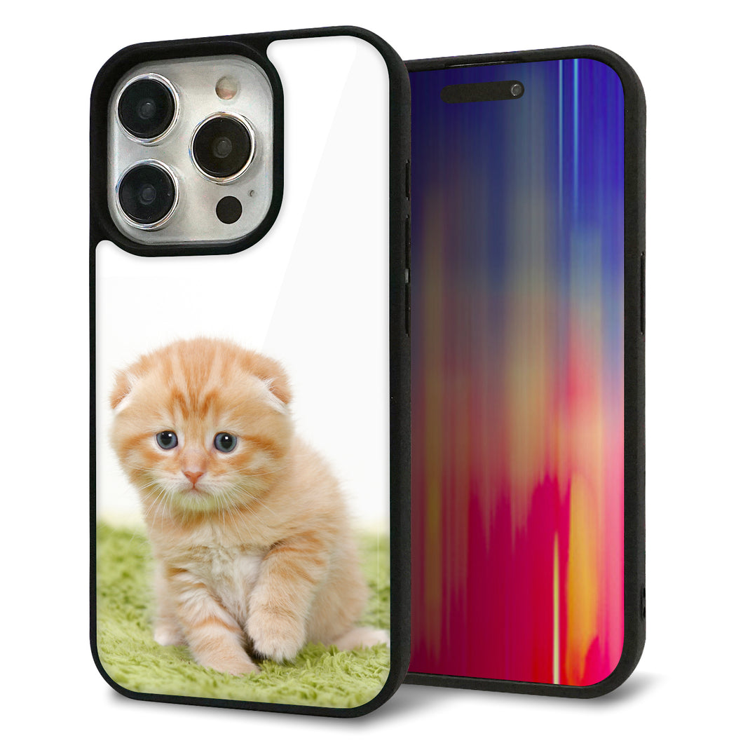 iPhone15 Pro 強化ガラス＆TPUスマホケース ガラプリ【VA802 ネコこっそり】