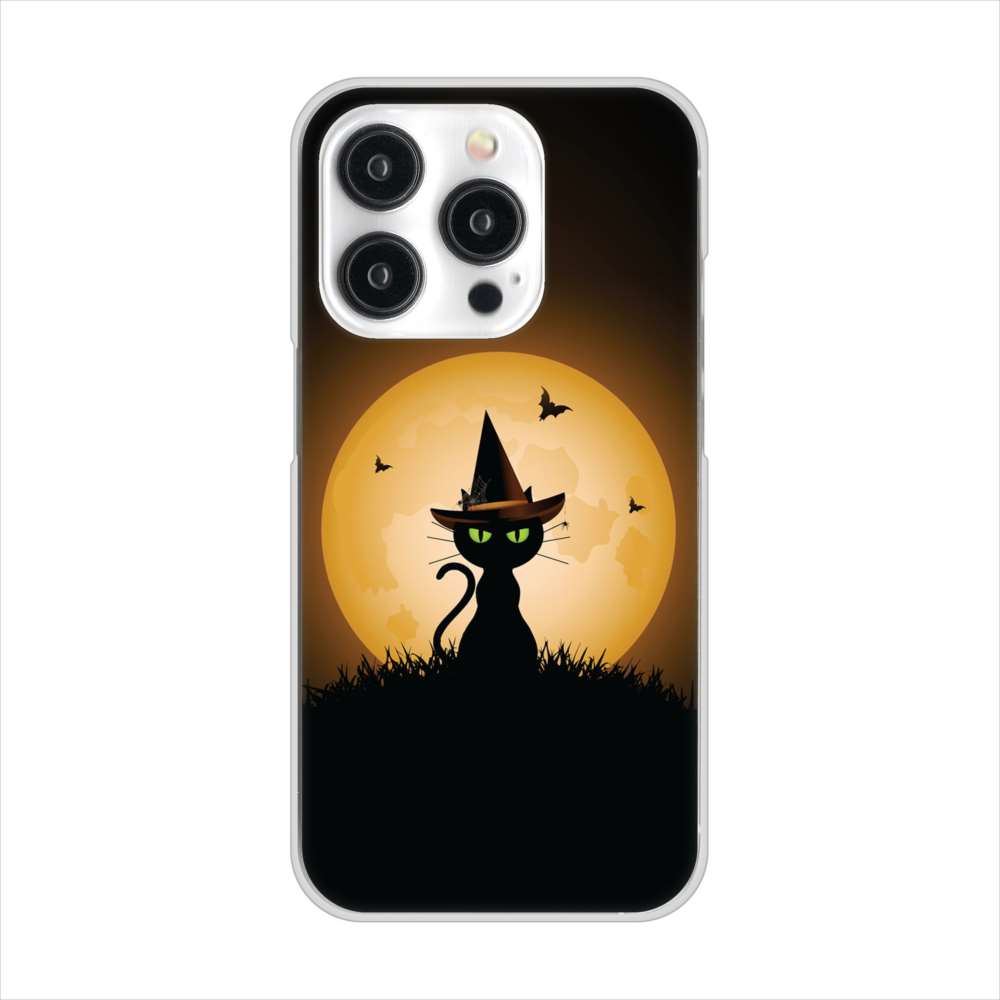 iPhone15 Pro 高画質仕上げ 背面印刷 ハードケース夜とネコ