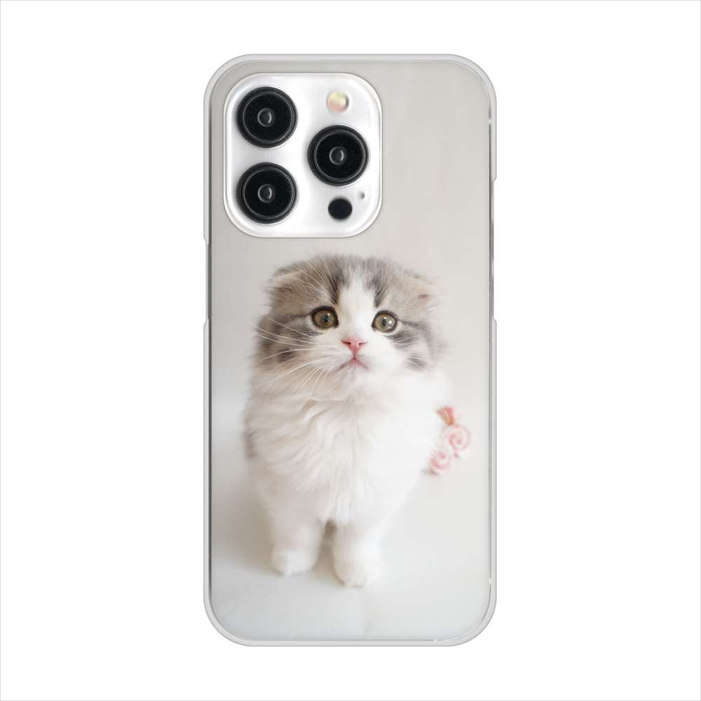 iPhone15 Pro 高画質仕上げ 背面印刷 ハードケース 【VA803 まっていますネコ】