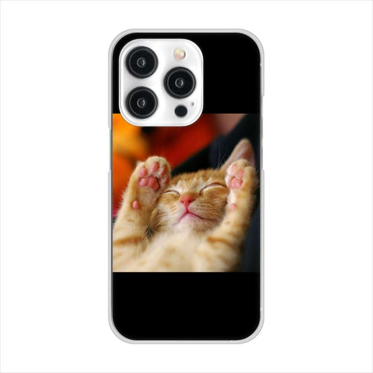 iPhone15 Pro 高画質仕上げ 背面印刷 ハードケース 【VA804 爆睡するネコ】