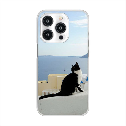 iPhone15 Pro 高画質仕上げ 背面印刷 ハードケース 【VA805 ネコと地中海】