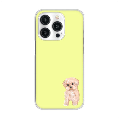 iPhone15 Pro 高画質仕上げ 背面印刷 ハードケーストイプードルアプリコット