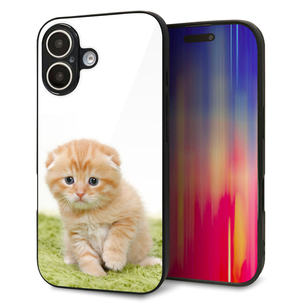 iPhone16 強化ガラス＆TPUスマホケース ガラプリ【VA802 ネコこっそり】