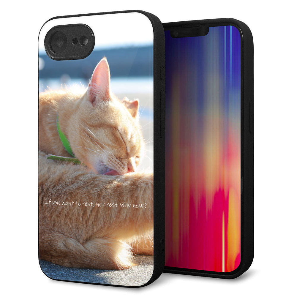 iPhone16e 強化ガラス＆TPUスマホケース ガラプリ【KM876 猫】