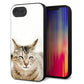 iPhone16e 強化ガラス＆TPUスマホケース ガラプリ【VA801 笑福ねこ】