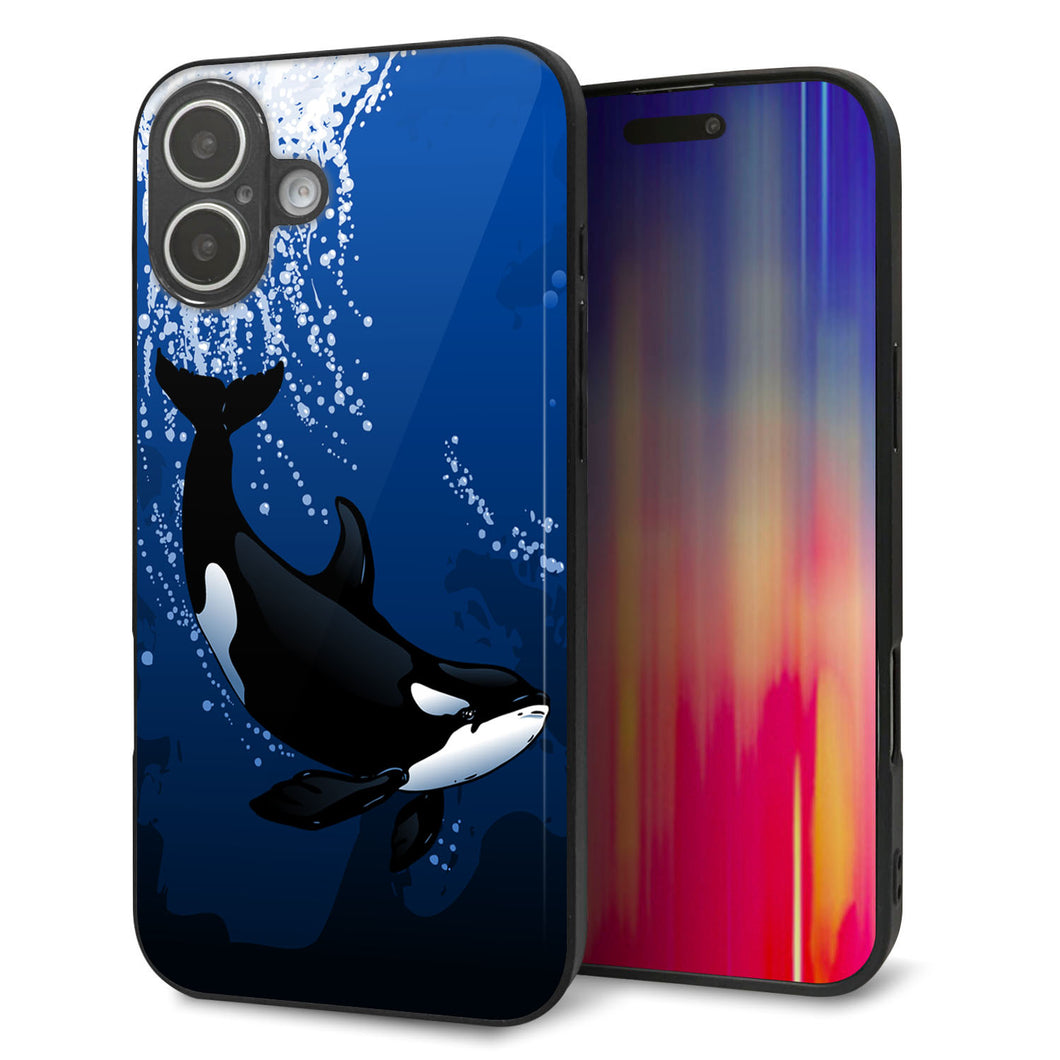 iPhone16 Plus 強化ガラス＆TPUスマホケース ガラプリ【423 シャチ】