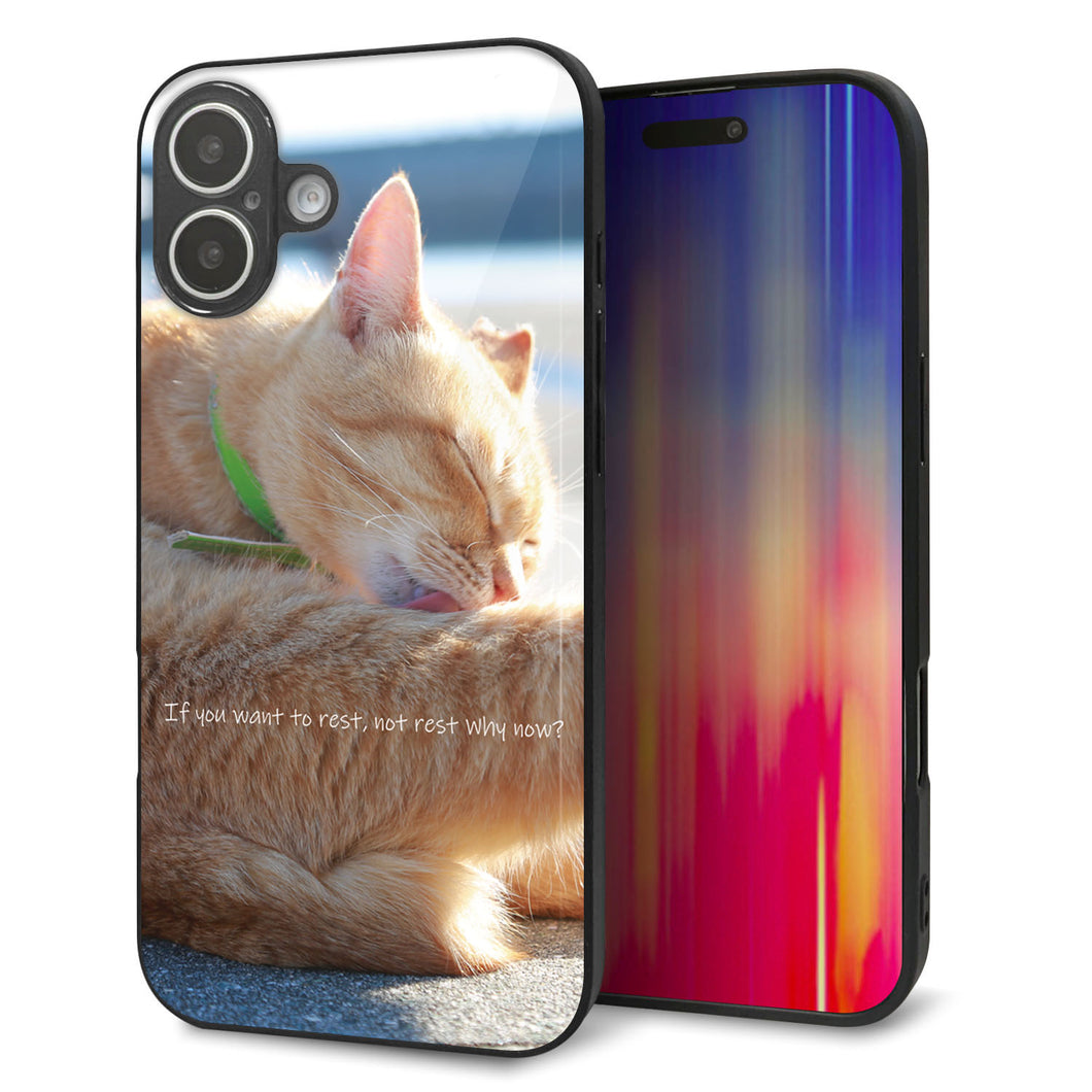 iPhone16 Plus 強化ガラス＆TPUスマホケース ガラプリ【KM876 猫】