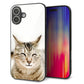 iPhone16 Plus 強化ガラス＆TPUスマホケース ガラプリ【VA801 笑福ねこ】