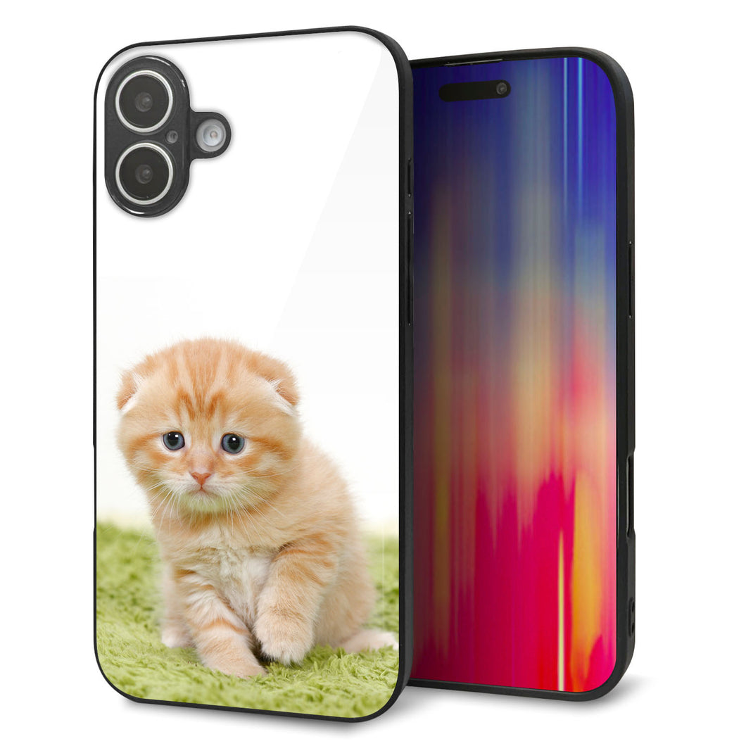 iPhone16 Plus 強化ガラス＆TPUスマホケース ガラプリ【VA802 ネコこっそり】