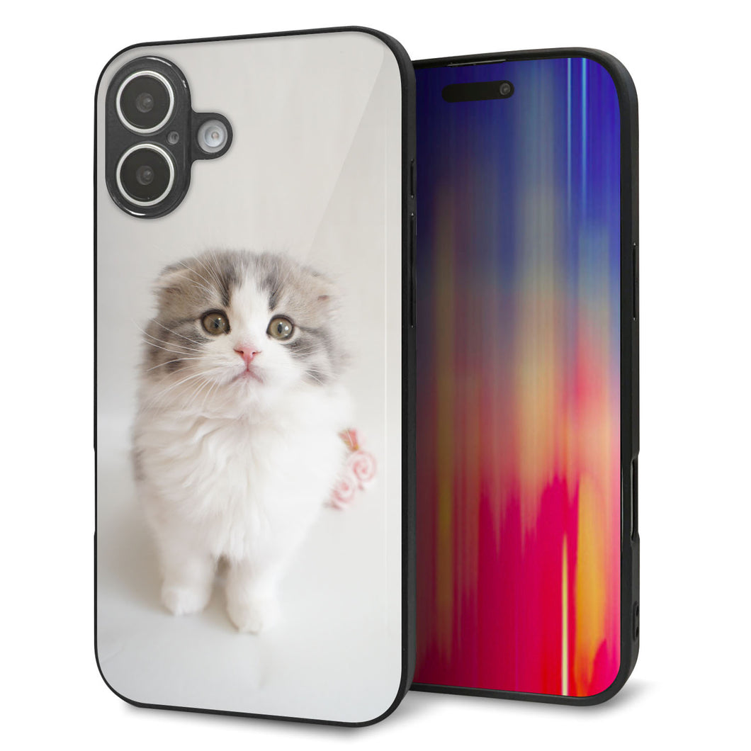 iPhone16 Plus 強化ガラス＆TPUスマホケース ガラプリ【VA803 まっていますネコ】