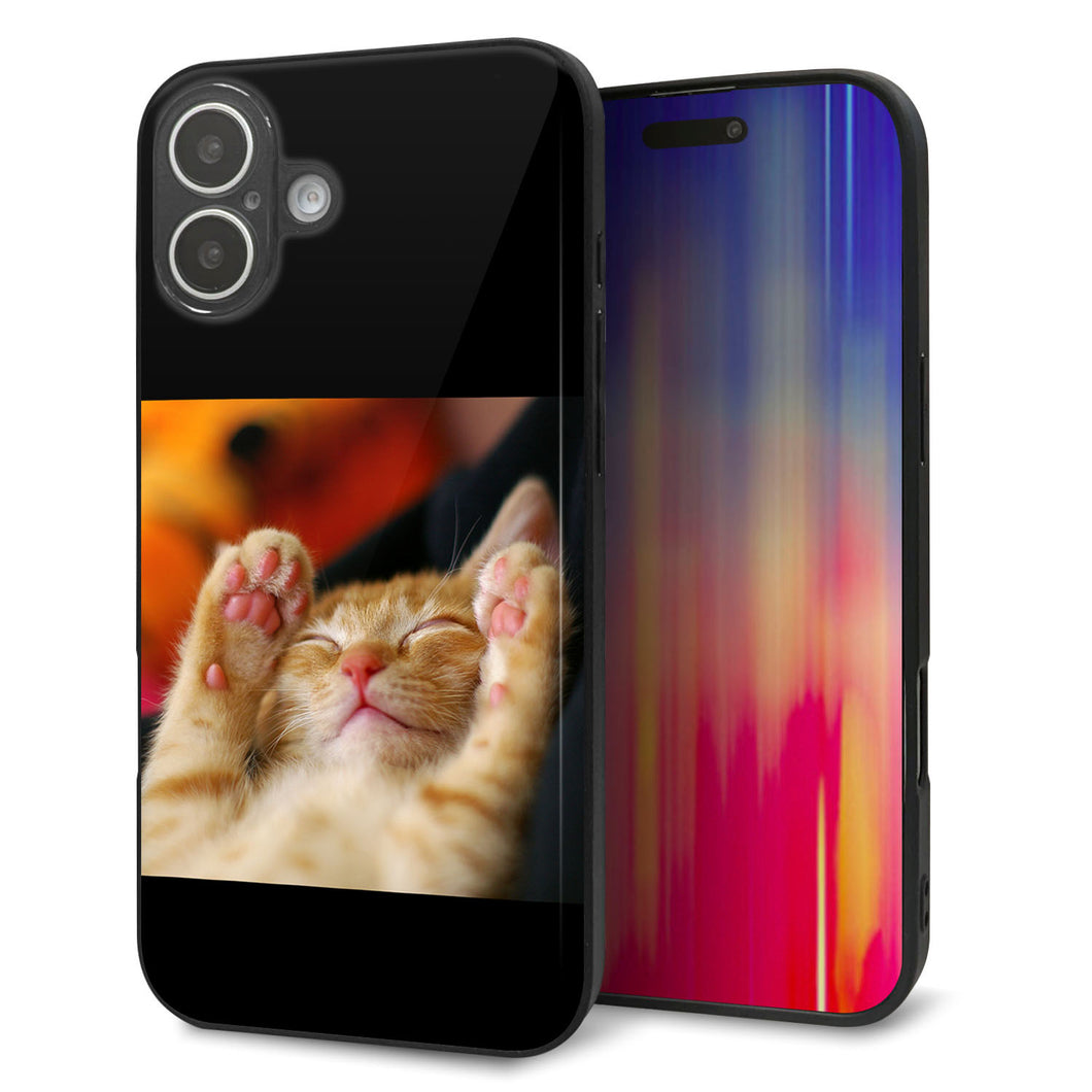iPhone16 Plus 強化ガラス＆TPUスマホケース ガラプリ【VA804 爆睡するネコ】