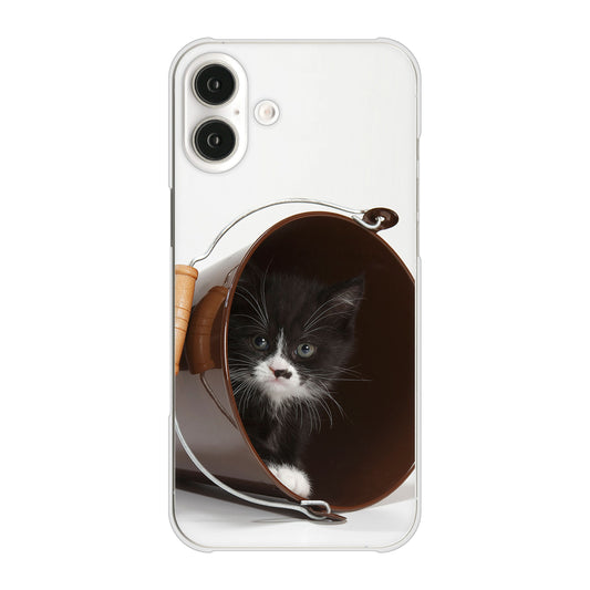 iPhone16 Plus 高画質仕上げ 背面印刷 ハードケース 【VA800 ネコとバケツ】