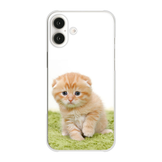iPhone16 Plus 高画質仕上げ 背面印刷 ハードケース 【VA802 ネコこっそり】