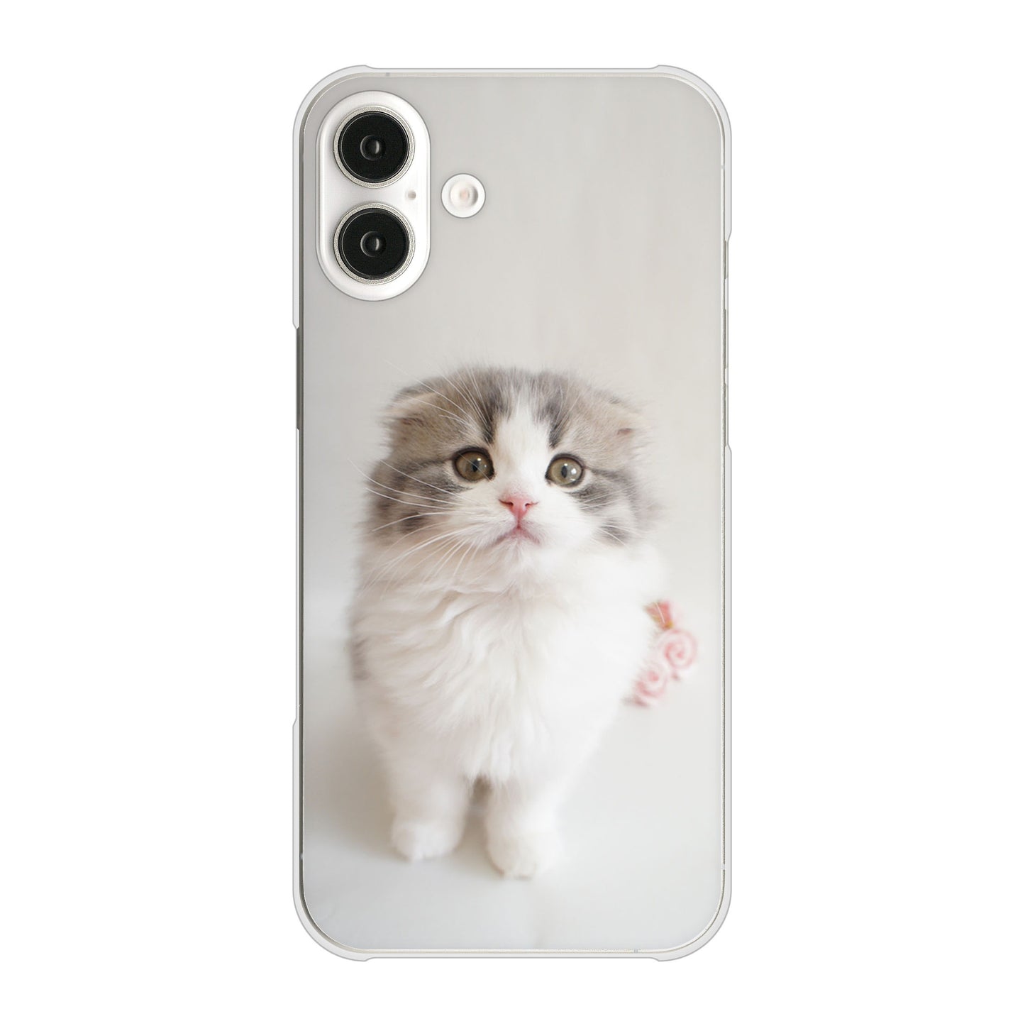 iPhone16 Plus 高画質仕上げ 背面印刷 ハードケース 【VA803 まっていますネコ】