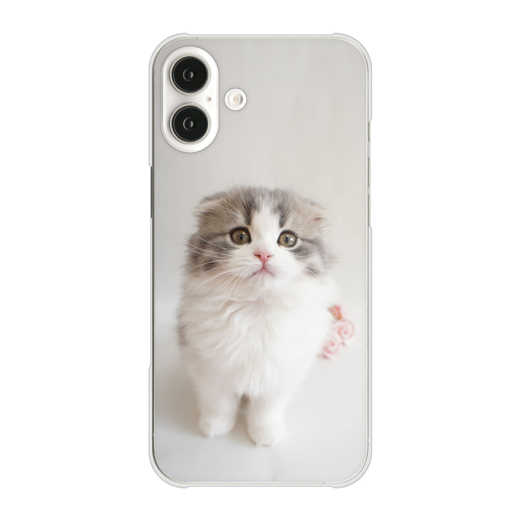 iPhone16 Plus 高画質仕上げ 背面印刷 ハードケース 【VA803 まっていますネコ】