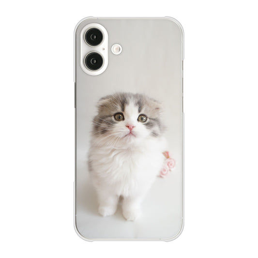 iPhone16 Plus 高画質仕上げ 背面印刷 ハードケース 【VA803 まっていますネコ】