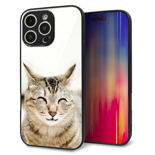 iPhone16 Pro Max 強化ガラス＆TPUスマホケース ガラプリ【VA801 笑福ねこ】