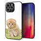 iPhone16 Pro Max 強化ガラス＆TPUスマホケース ガラプリ【VA802 ネコこっそり】