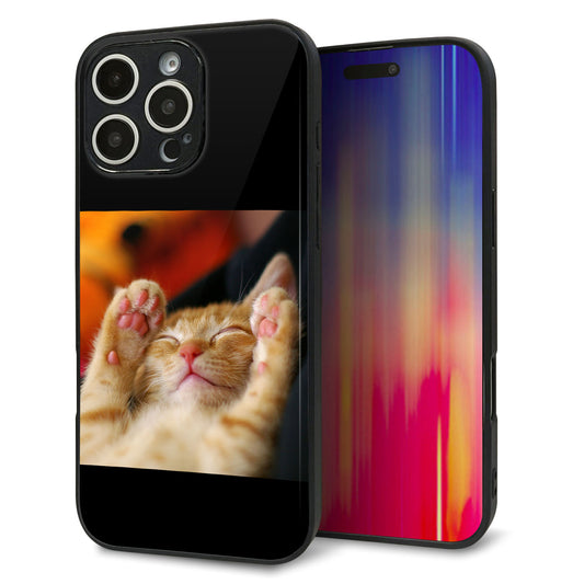 iPhone16 Pro Max 強化ガラス＆TPUスマホケース ガラプリ【VA804 爆睡するネコ】