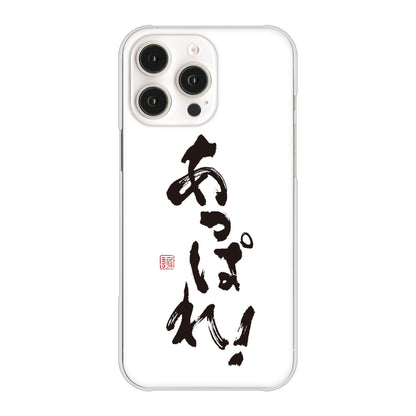 iPhone16 Pro Max 高画質仕上げ 背面印刷 ハードケース大野詠舟 ジョーク