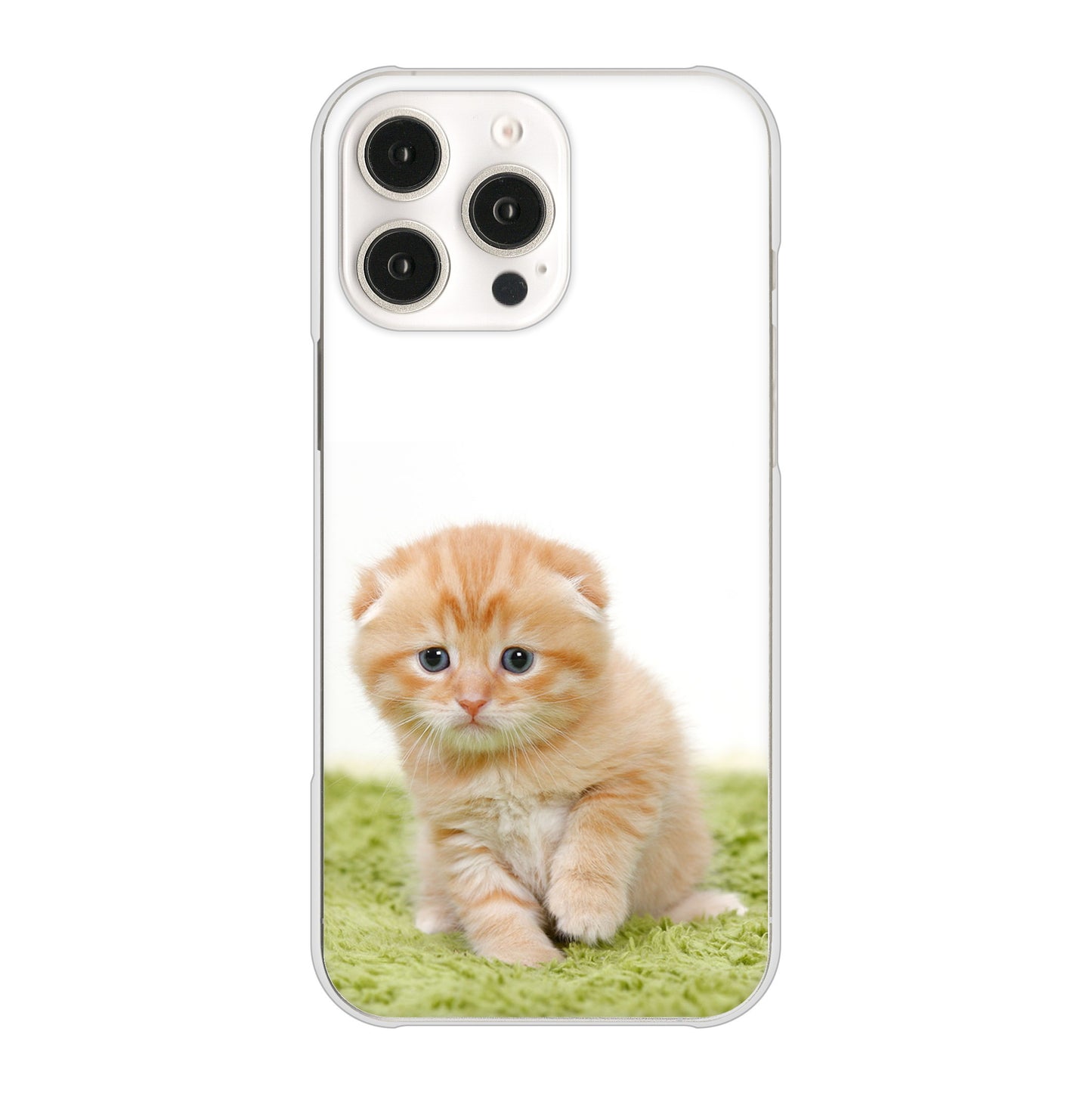 iPhone16 Pro Max 高画質仕上げ 背面印刷 ハードケース 【VA802 ネコこっそり】