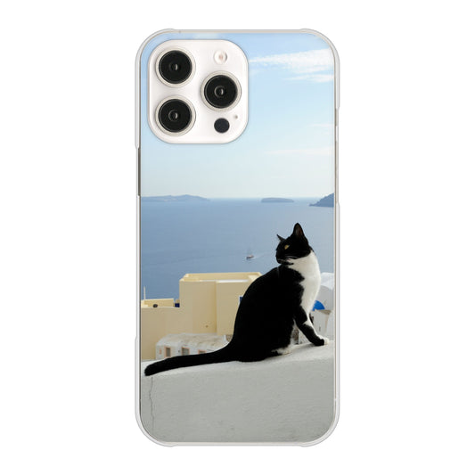 iPhone16 Pro Max 高画質仕上げ 背面印刷 ハードケース 【VA805 ネコと地中海】