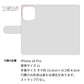 iPhone16 Pro イタリアンレザー 手帳型ケース（本革・KOALA） 耐衝撃