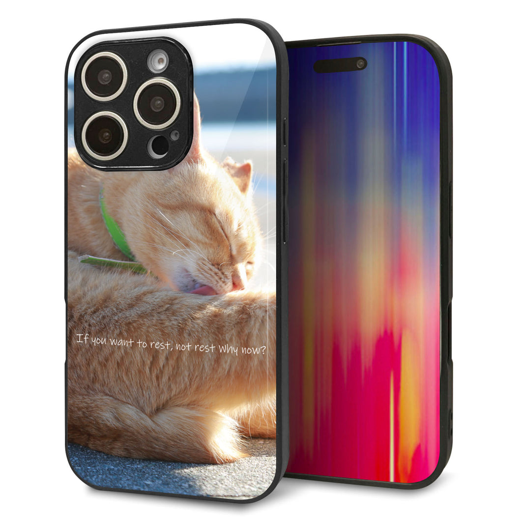 iPhone16 Pro 強化ガラス＆TPUスマホケース ガラプリ【KM876 猫】