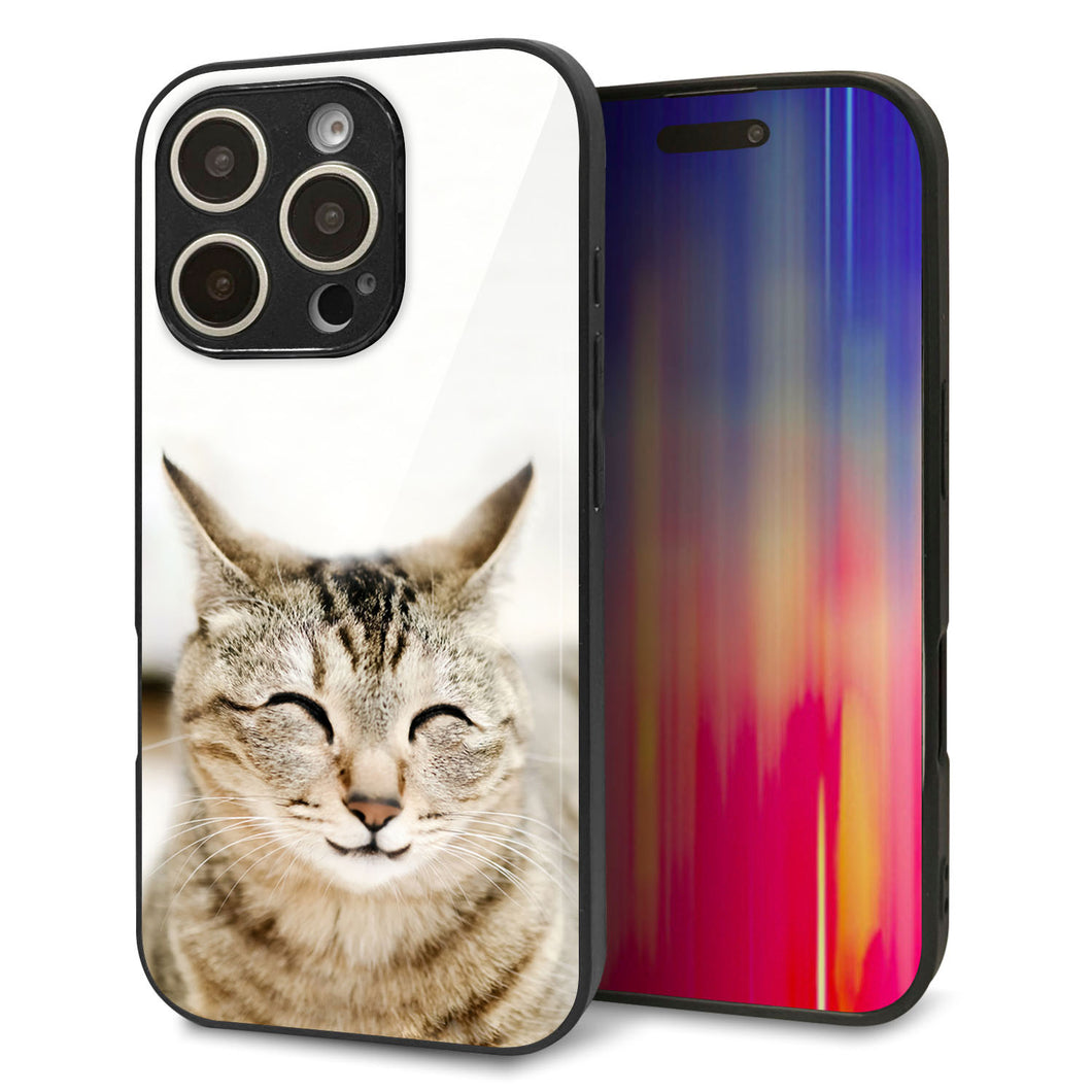 iPhone16 Pro 強化ガラス＆TPUスマホケース ガラプリ【VA801 笑福ねこ】