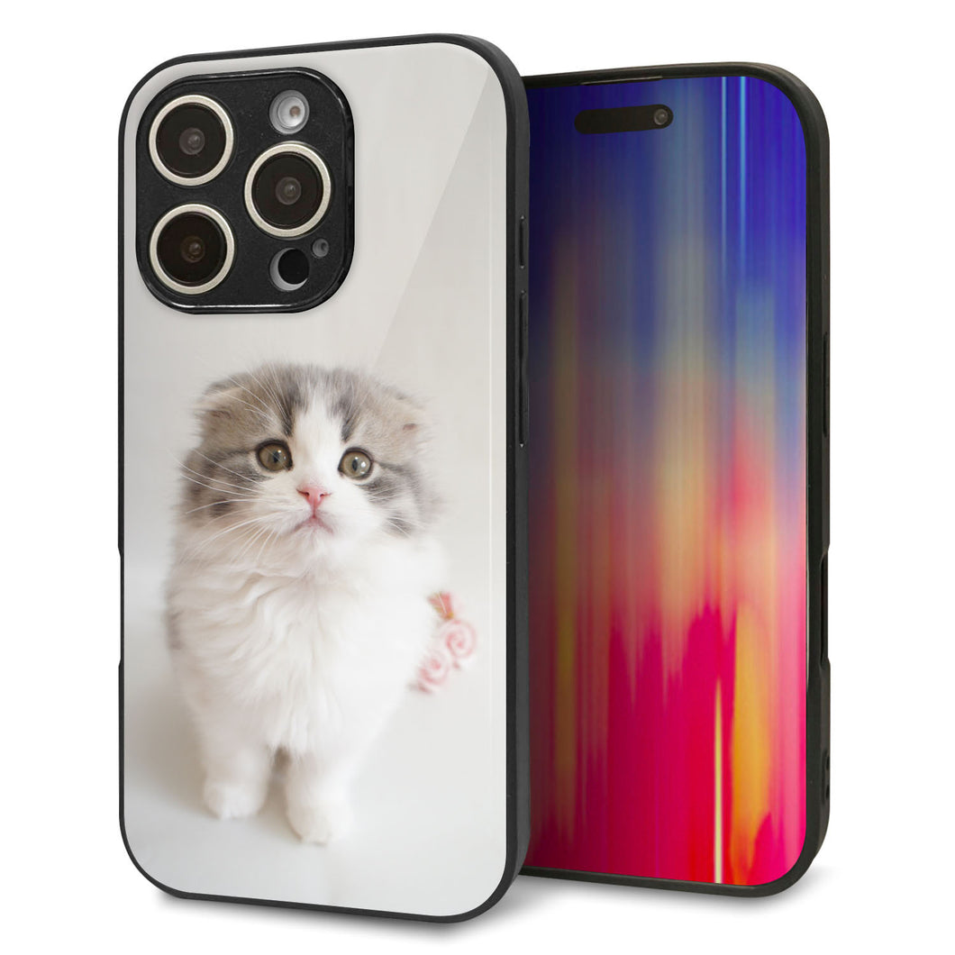 iPhone16 Pro 強化ガラス＆TPUスマホケース ガラプリ【VA803 まっていますネコ】