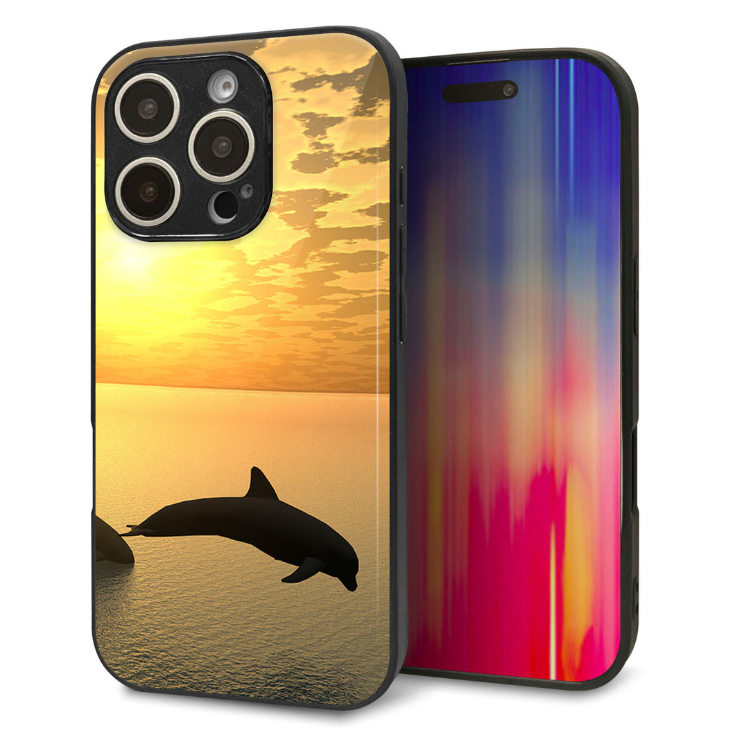 iPhone16 Pro 強化ガラス＆TPUスマホケース ガラプリ【VA845 夕暮れのドルフィン】