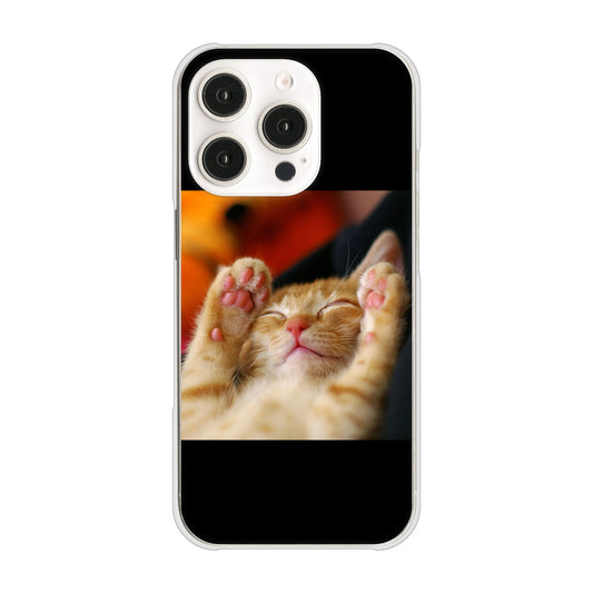 iPhone16 Pro 高画質仕上げ 背面印刷 ハードケース 【VA804 爆睡するネコ】