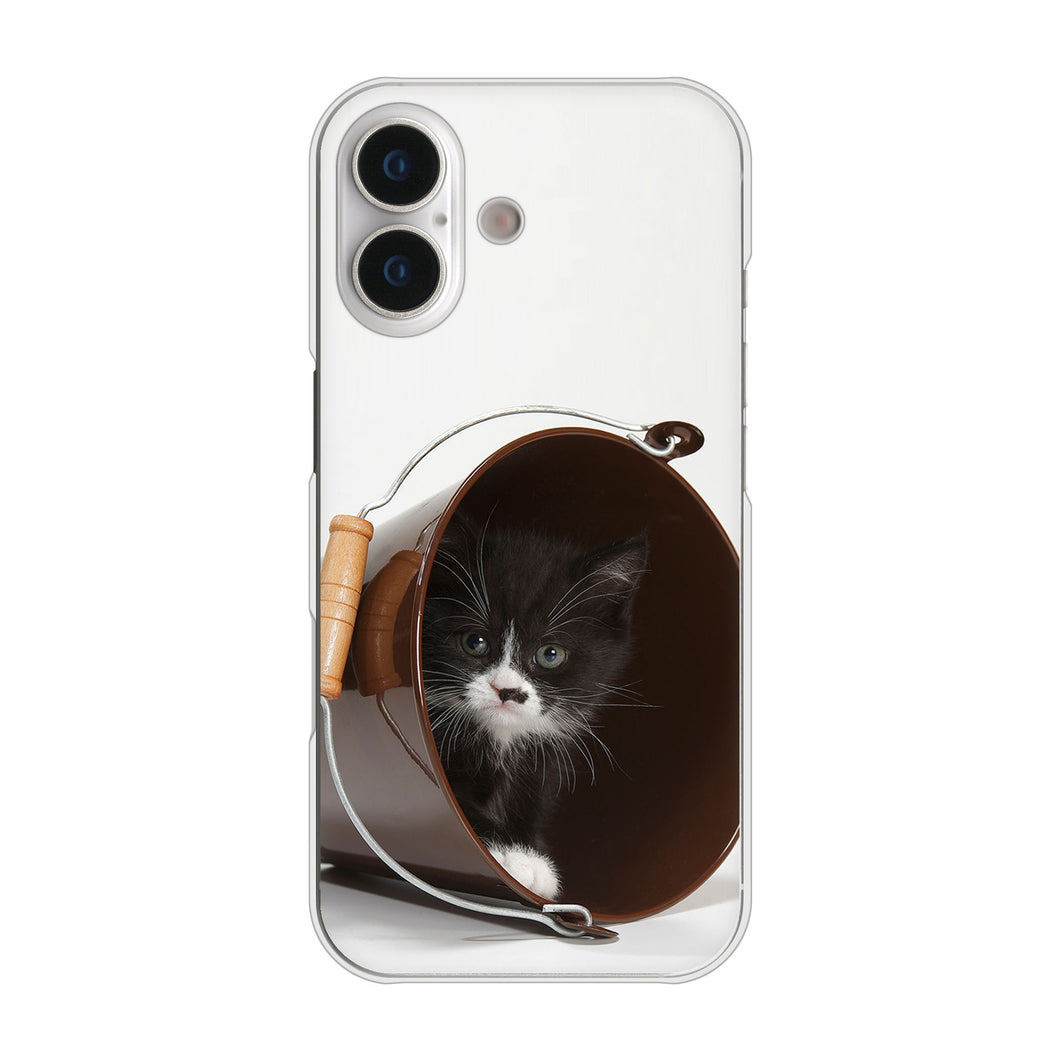 iPhone 17 高画質仕上げ 背面印刷 ハードケース 【VA800 ネコとバケツ】