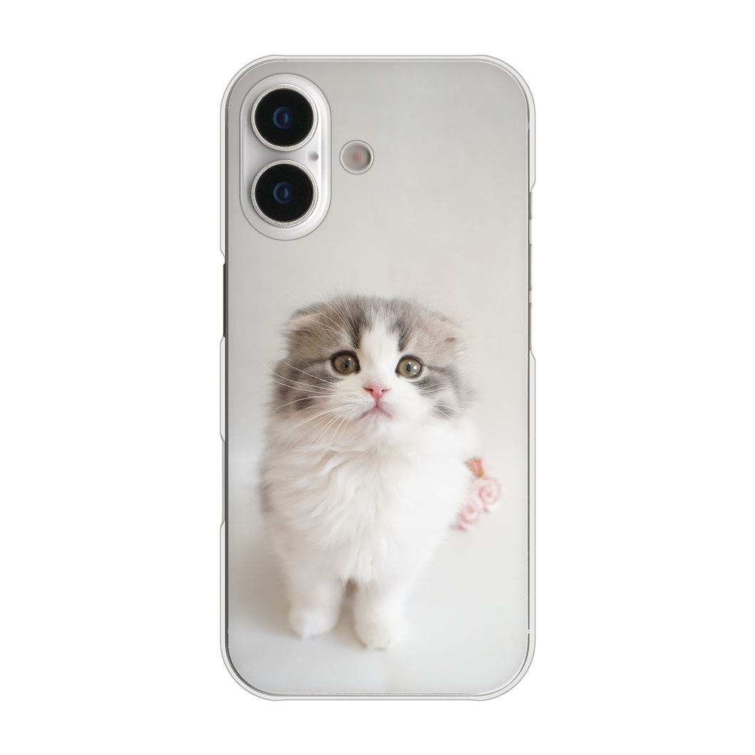 iPhone 17 高画質仕上げ 背面印刷 ハードケース 【VA803 まっていますネコ】