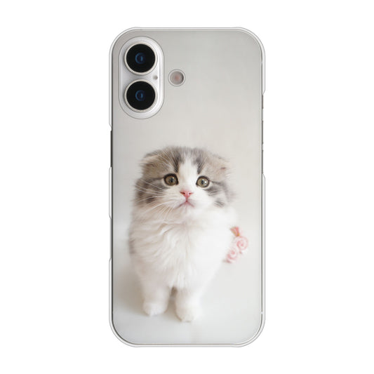 iPhone 17 高画質仕上げ 背面印刷 ハードケース 【VA803 まっていますネコ】
