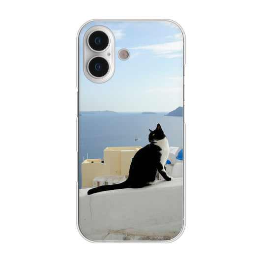 iPhone 17 高画質仕上げ 背面印刷 ハードケース 【VA805 ネコと地中海】