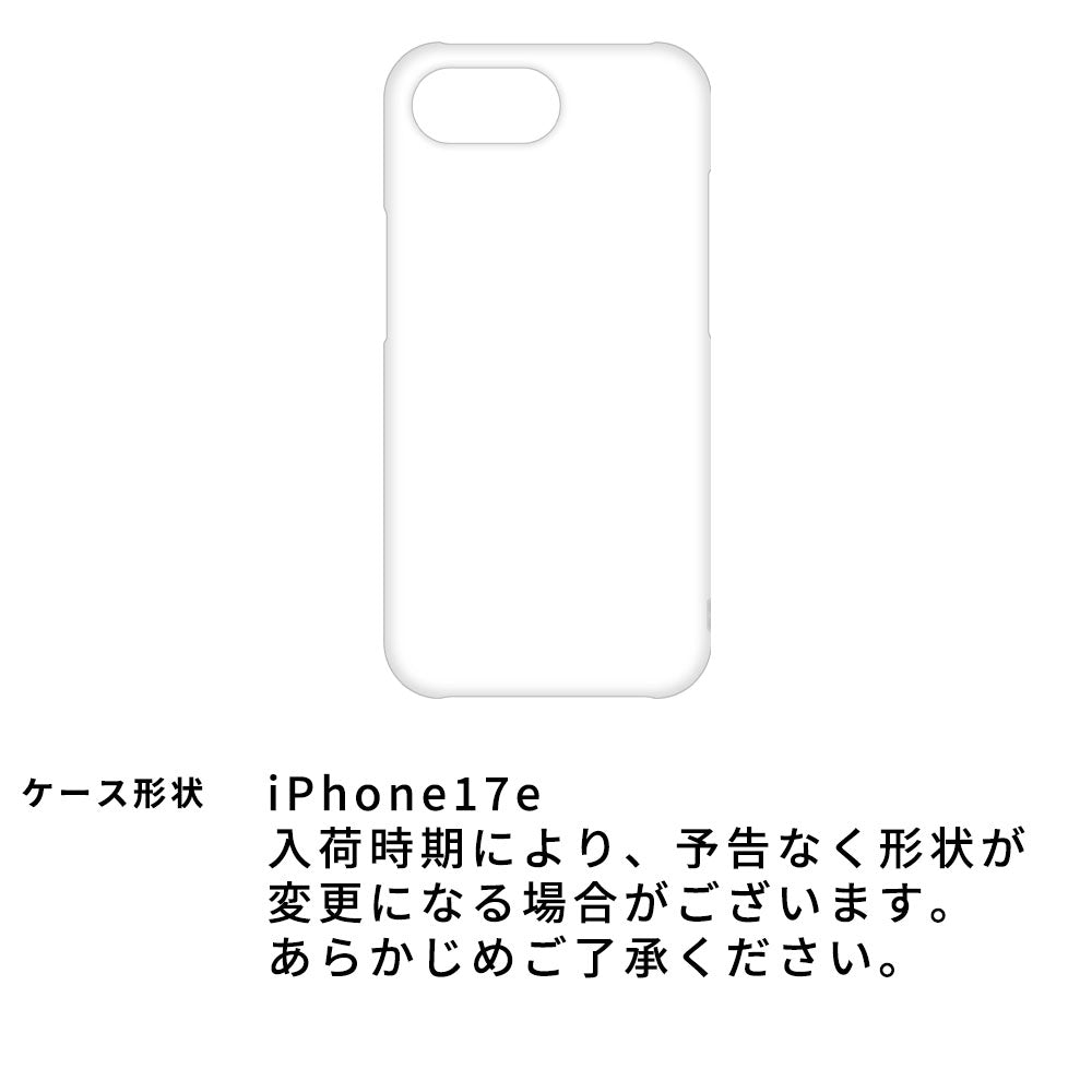 レンズ完全保護 栃木レザー 手帳型ケース MagSafe対応 CAMHIDE