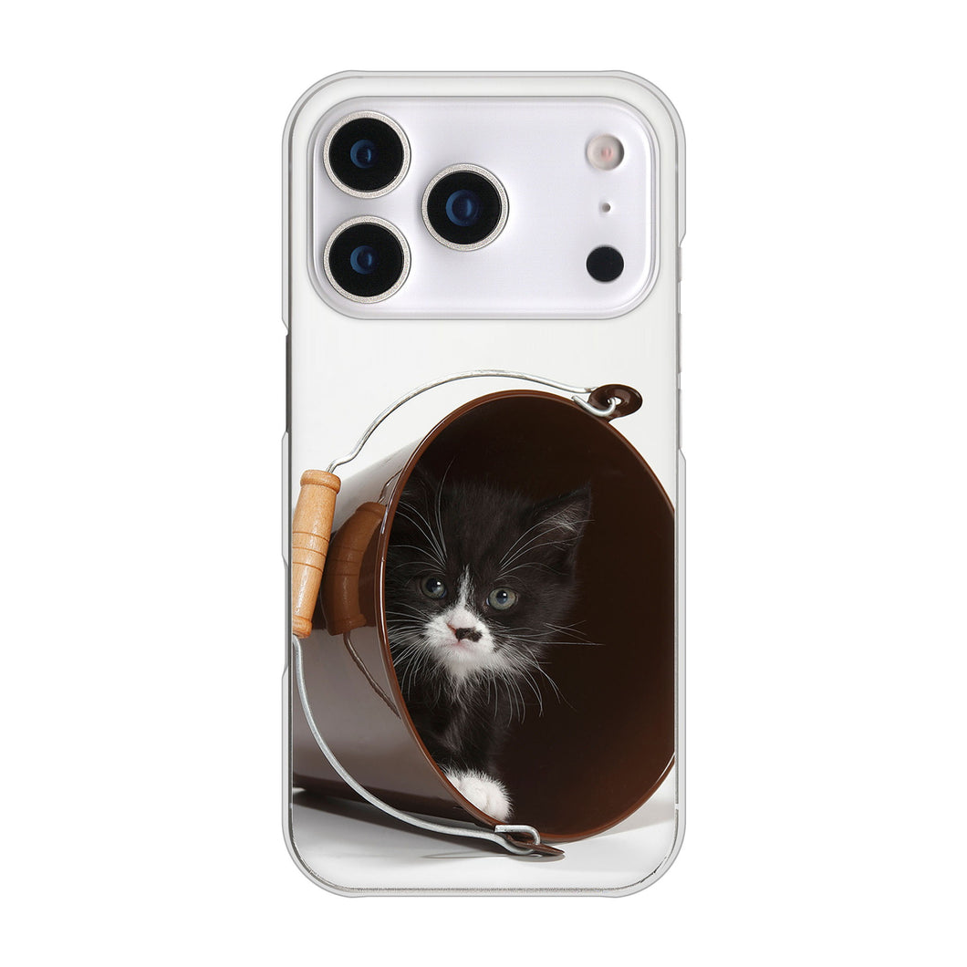 iPhone17 Pro 高画質仕上げ 背面印刷 ハードケース 【VA800 ネコとバケツ】