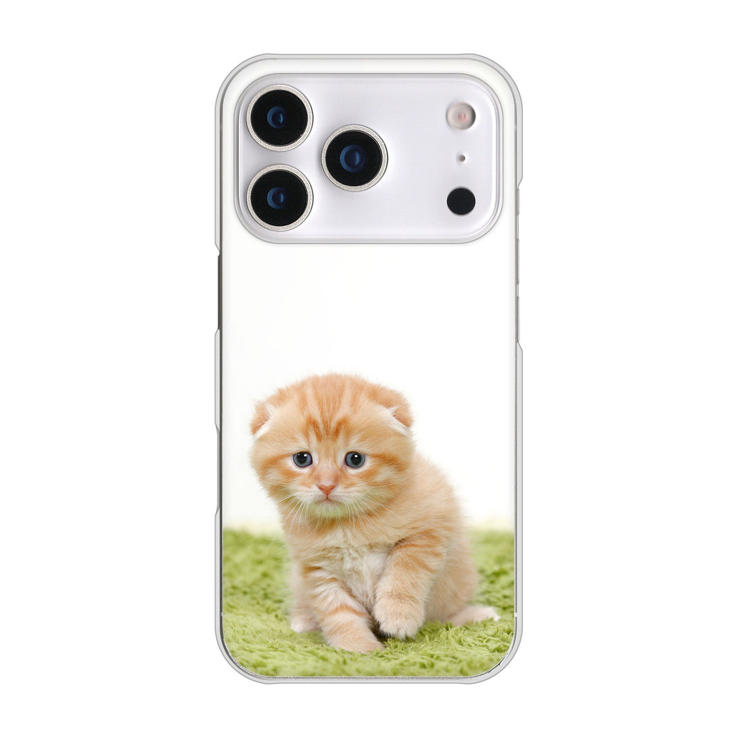 iPhone17 Pro 高画質仕上げ 背面印刷 ハードケース 【VA802 ネコこっそり】