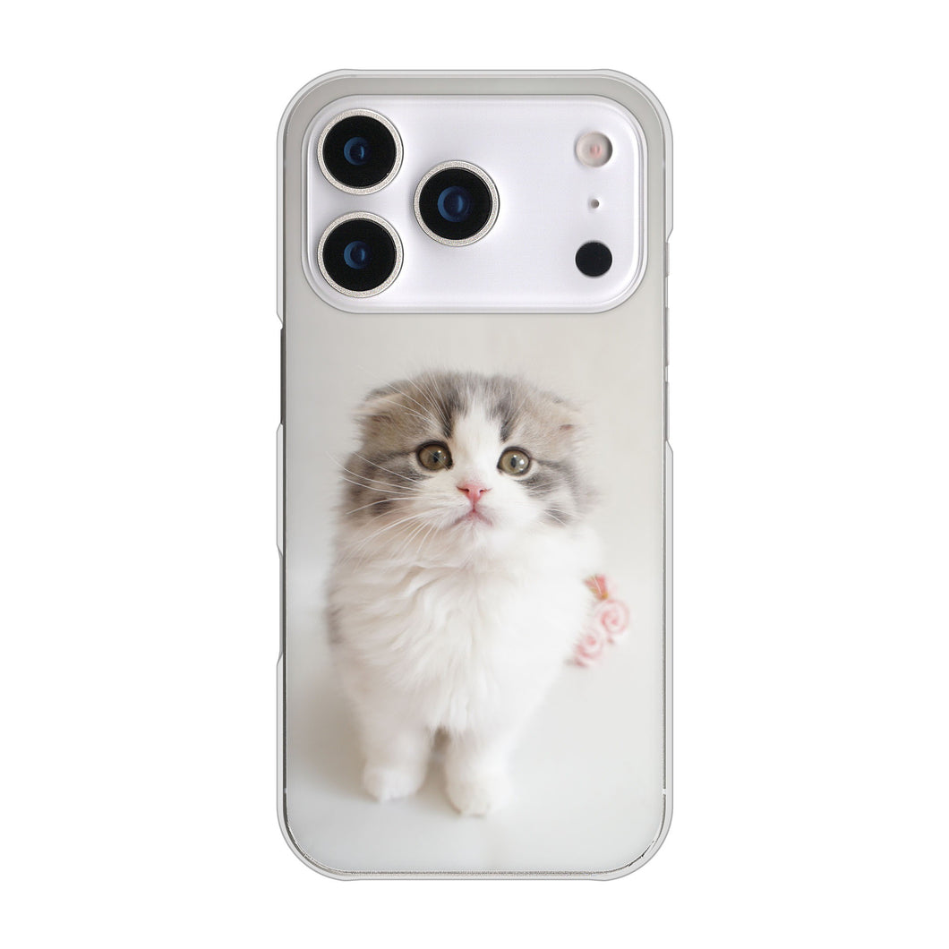 iPhone17 Pro 高画質仕上げ 背面印刷 ハードケース 【VA803 まっていますネコ】