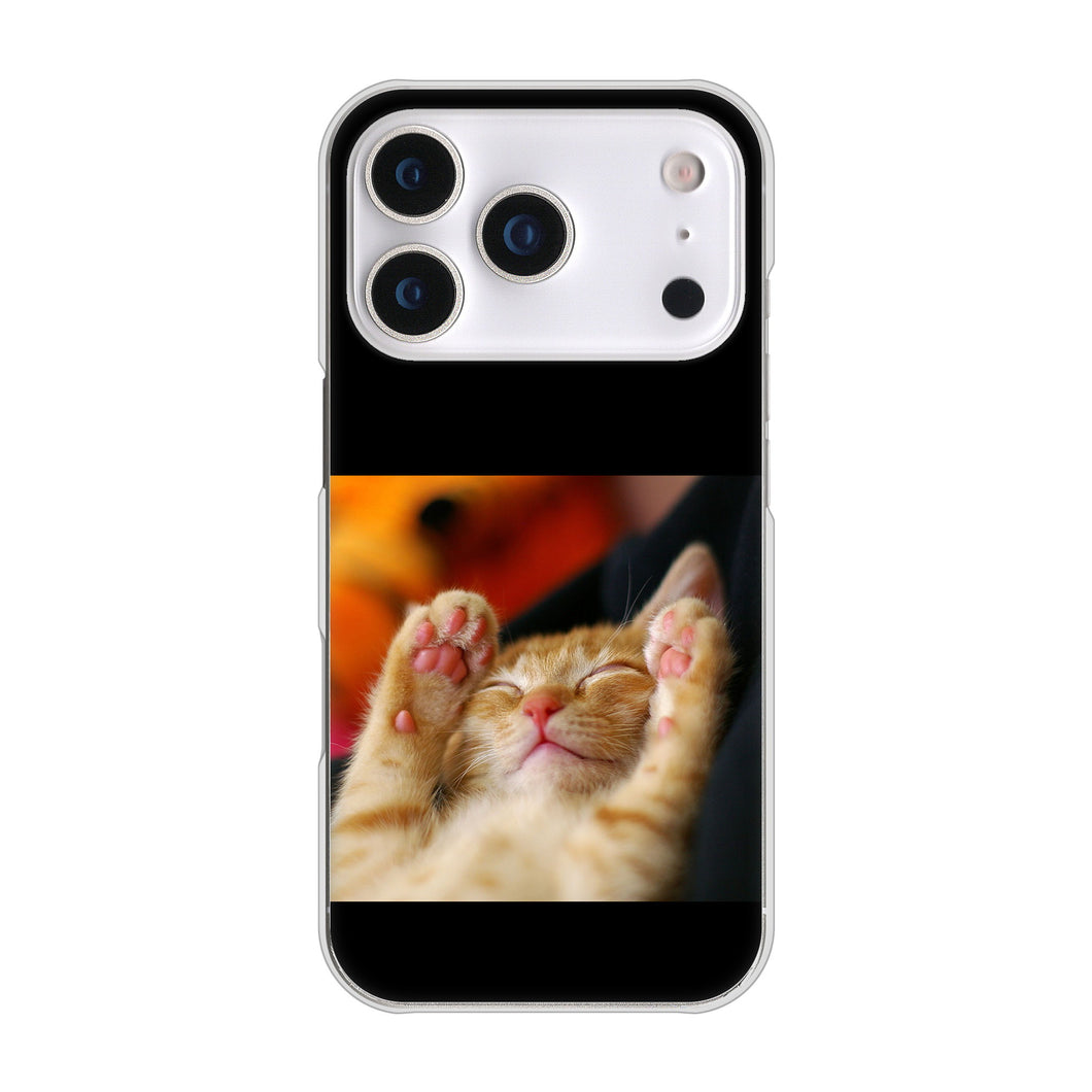 iPhone17 Pro 高画質仕上げ 背面印刷 ハードケース 【VA804 爆睡するネコ】