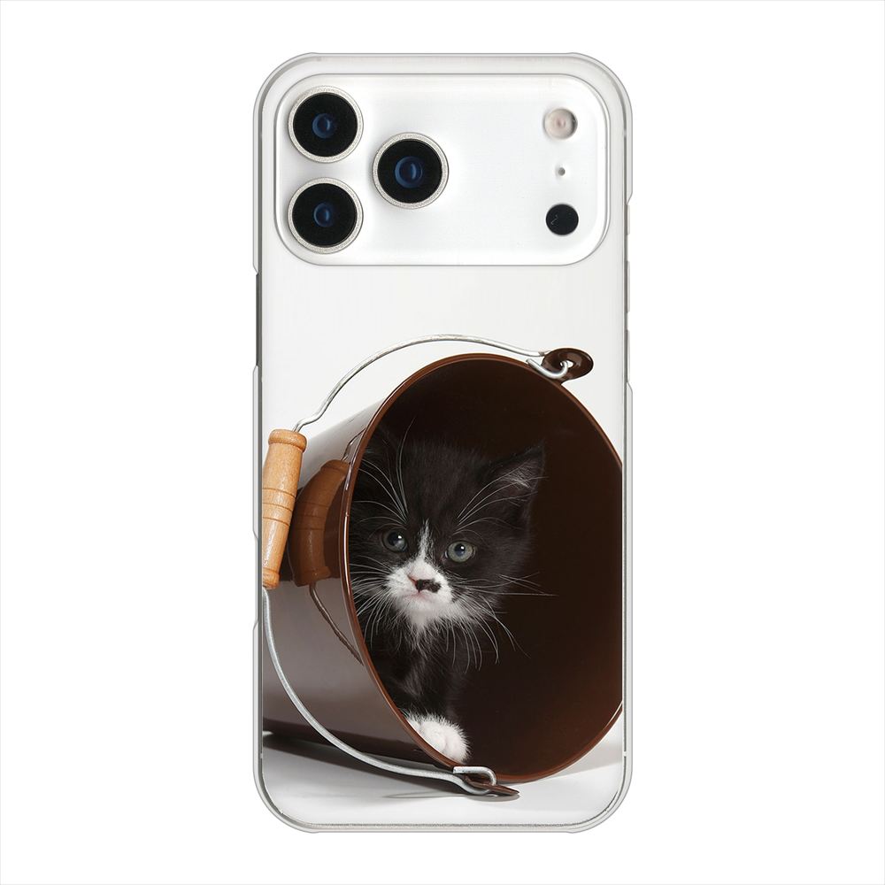 iPhone18 Pro Max 高画質仕上げ 背面印刷 ハードケース 【VA800 ネコとバケツ】