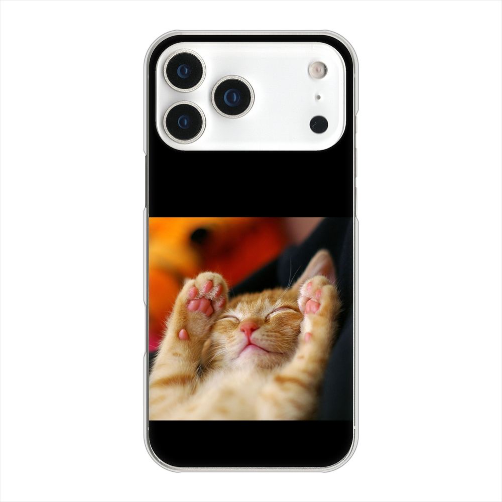 iPhone18 Pro Max 高画質仕上げ 背面印刷 ハードケース 【VA804 爆睡するネコ】