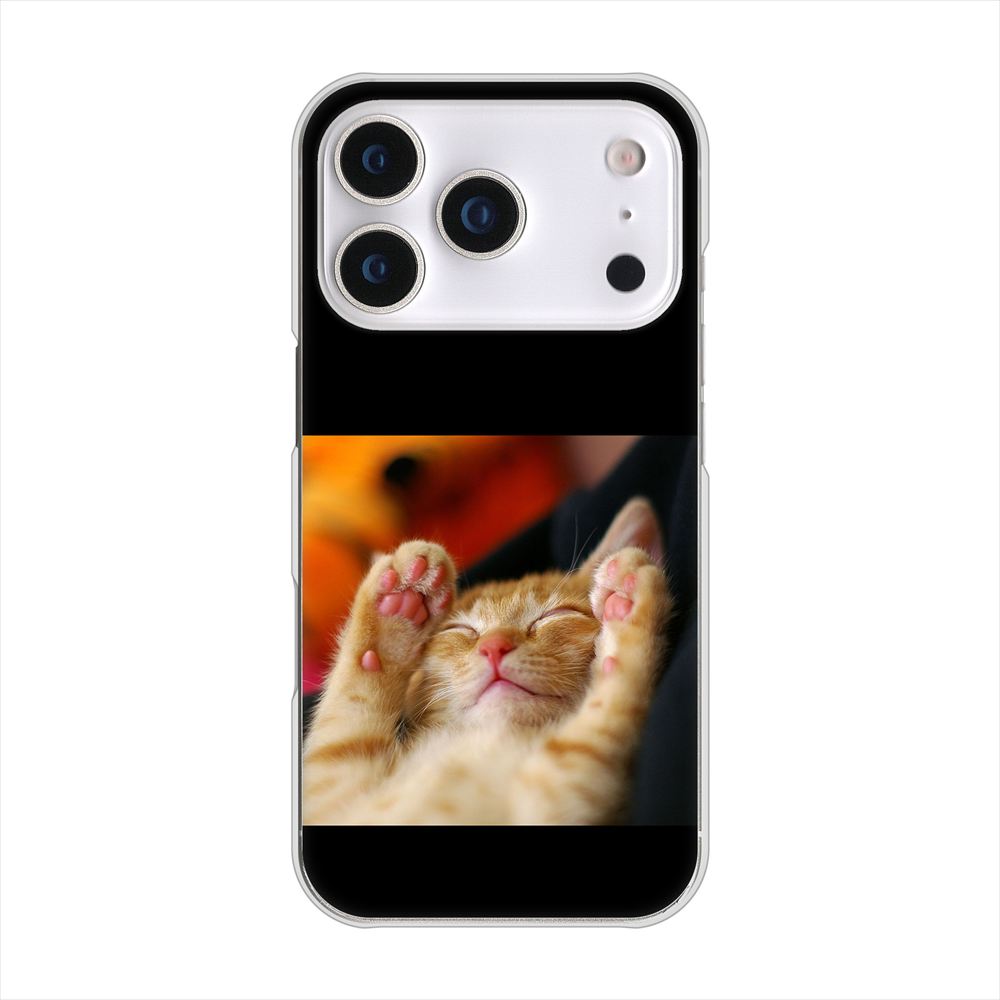 iPhone18 Pro 高画質仕上げ 背面印刷 ハードケース 【VA804 爆睡するネコ】
