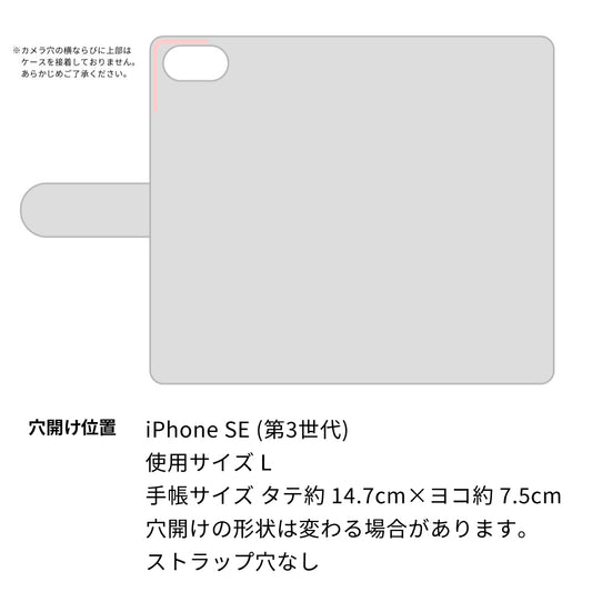 iPhone SE (第3世代) ビニール素材のスケルトン手帳型ケース クリア