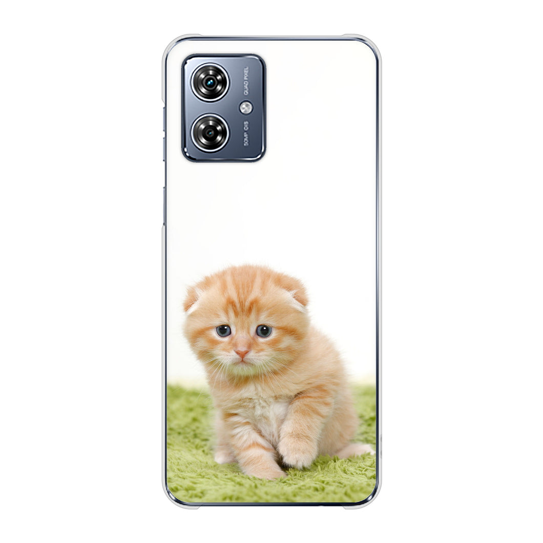 moto g64 5G 高画質仕上げ 背面印刷 ハードケース 【VA802 ネコこっそり】
