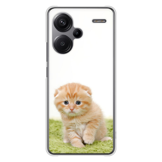 Xiaomi Redmi Note 13 Pro+ 高画質仕上げ 背面印刷 ハードケース 【VA802 ネコこっそり】