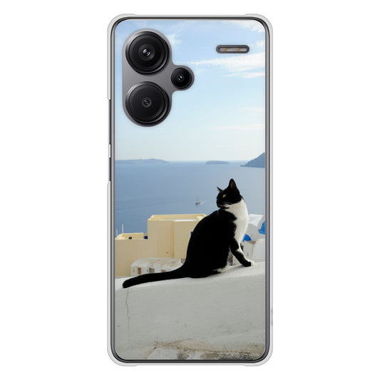 Xiaomi Redmi Note 13 Pro+ 高画質仕上げ 背面印刷 ハードケース 【VA805 ネコと地中海】
