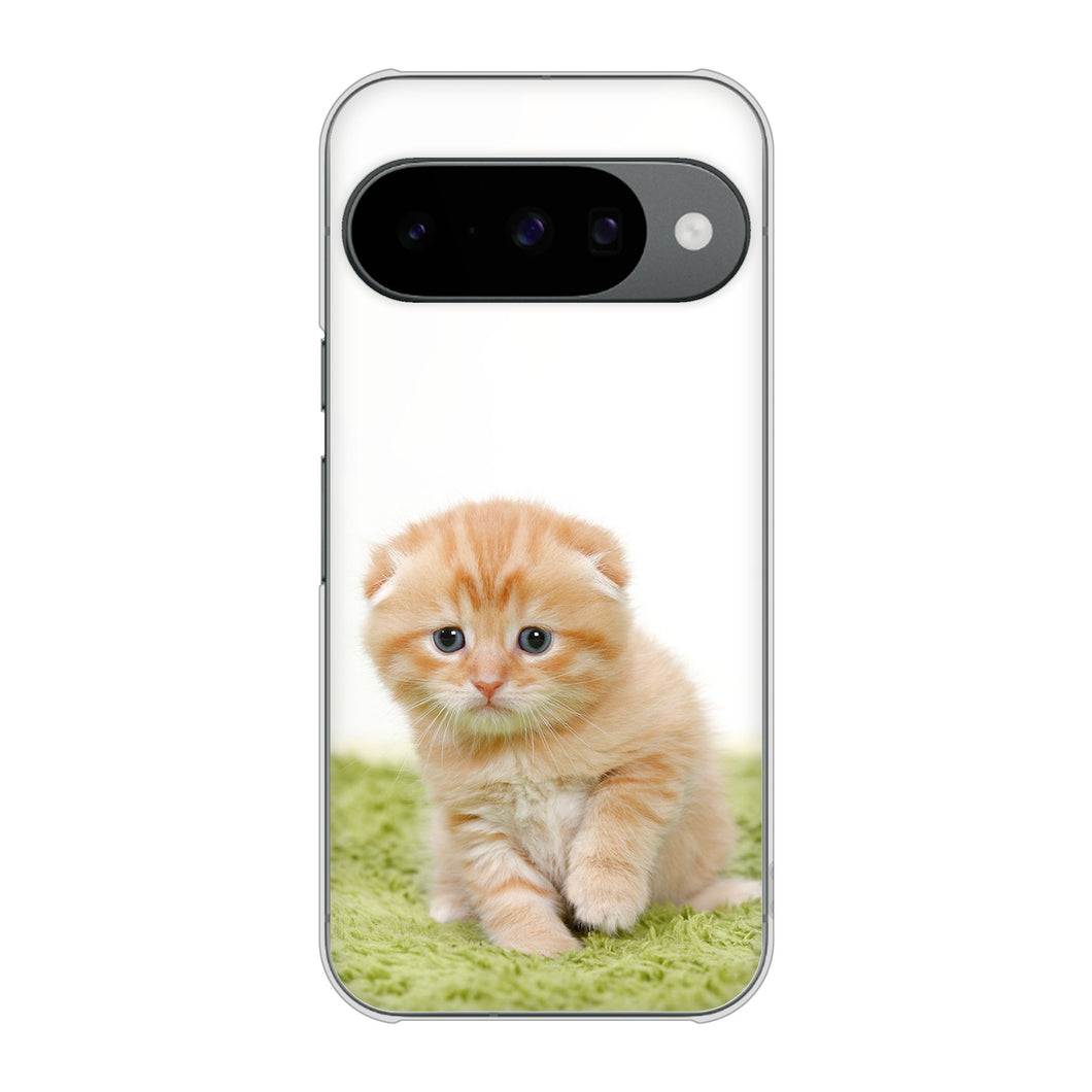 Google Pixel 10 Pro 高画質仕上げ 背面印刷 ハードケース 【VA802 ネコこっそり】