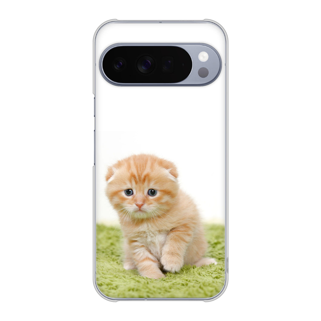 Google Pixel 10 Pro XL 高画質仕上げ 背面印刷 ハードケース 【VA802 ネコこっそり】